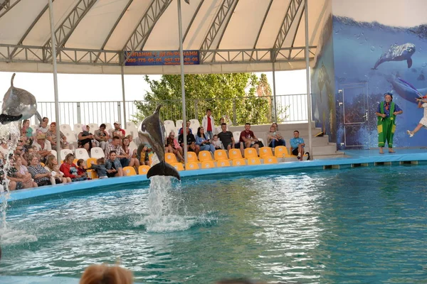 Выступление Команды Скадовского Дельфинария Aquarel Июль 2019 — стоковое фото