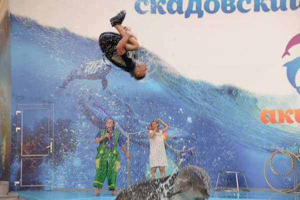 Toespraak Door Het Team Van Skadovsk Dolphinarium Aquarel Juli 2019 — Stockfoto