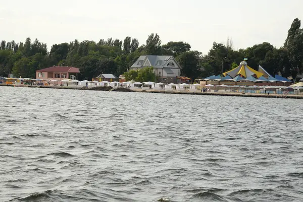 Zwarte Zee Latijnse Rucenum Merrie — Stockfoto