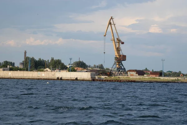 Morze Czarne Klacz Rucenowa Łacińska — Zdjęcie stockowe