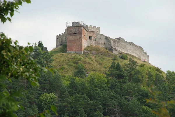 Vue Générale Colline Château — Photo