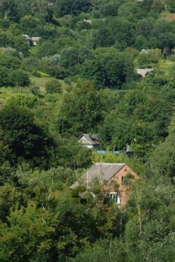 Karpat Dağlarının yumuşak yamaçları