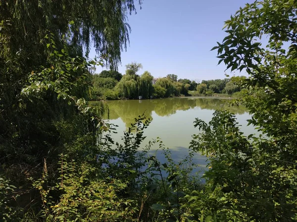 Teich Rande Des Dorfes — Stockfoto