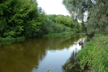 Viliya Nehri, genel görünüm