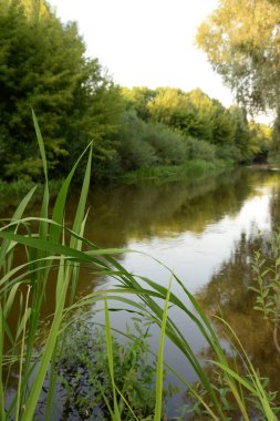 Viliya Nehri, genel görünüm