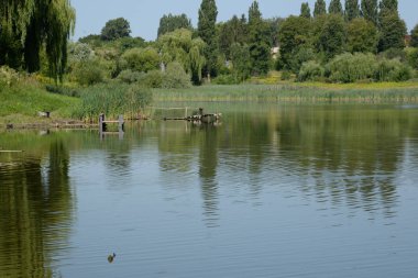 Köyün kıyısındaki gölette.