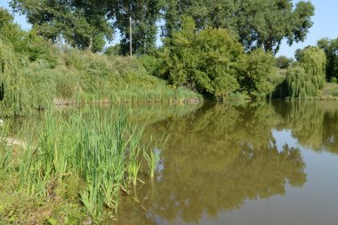 Köyün kıyısındaki gölette.