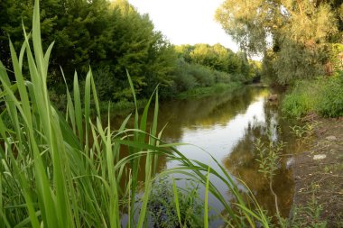 Viliya Nehri, genel görünüm
