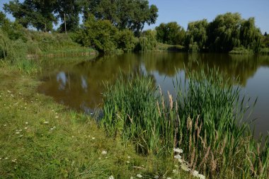 Köyün kıyısındaki gölette.