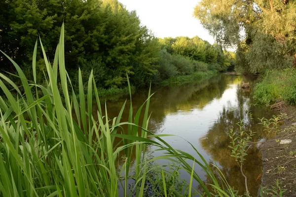 Viliya Fluss Allgemeine Ansicht — Stockfoto