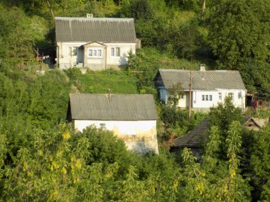 Karpat Dağlarının yumuşak yamaçları