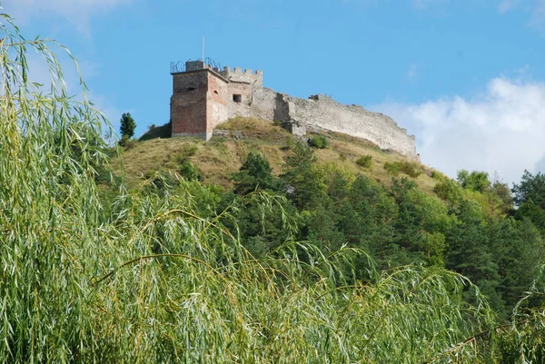 Veduta Generale Della Collina Del Castello — Foto Stock