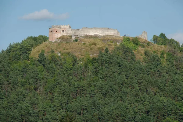 Vue Générale Colline Château — Photo