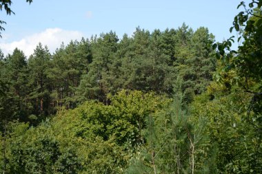 Sessiz köşe güzel doğa