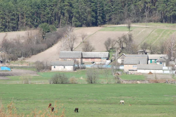 スラジ村 シュムスキー地区 テルノーピル地方 ウクライナ — ストック写真