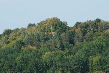 Karpat Dağlarının yumuşak yamaçları
