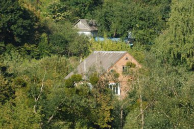 Karpat Dağlarının yumuşak yamaçları