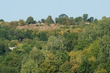 Karpat Dağlarının yumuşak yamaçları