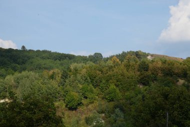 Karpat Dağlarının yumuşak yamaçları