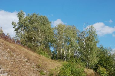 Sessiz köşe güzel doğa