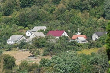 Karpat Dağlarının yumuşak yamaçları