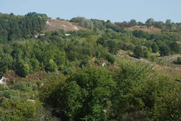 Лагідні Схили Карпатських Гір — стокове фото