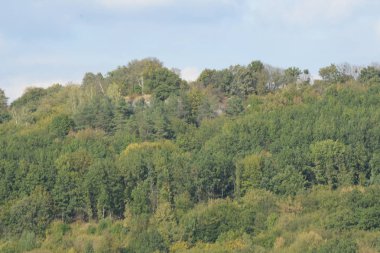 Karpat Dağlarının yumuşak yamaçları