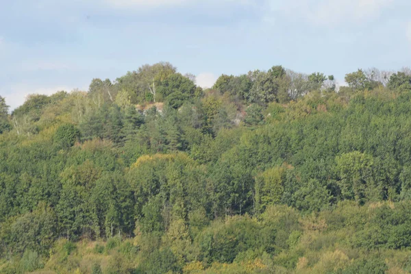 Karpat Dağlarının yumuşak yamaçları