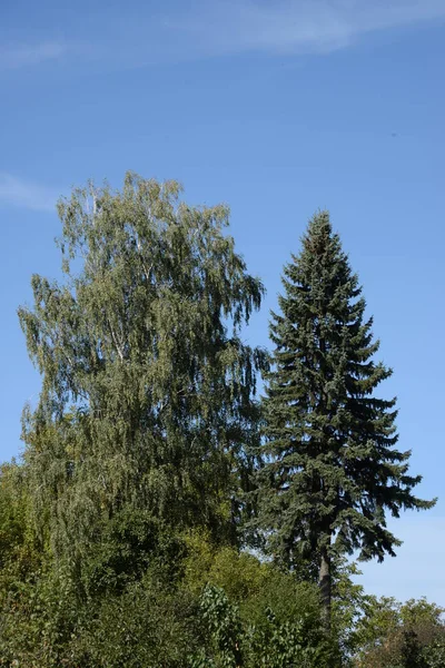 Ruhige Ecke Schöne Natur — Stockfoto