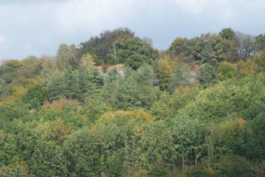 Karpat Dağlarının yumuşak yamaçları