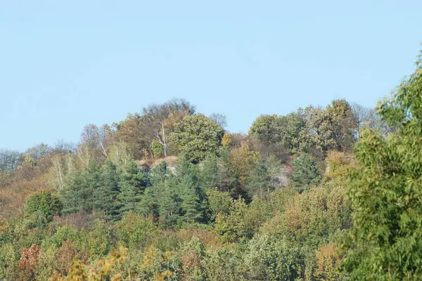 Karpat Dağlarının yumuşak yamaçları