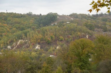 Karpat Dağlarının yumuşak yamaçları