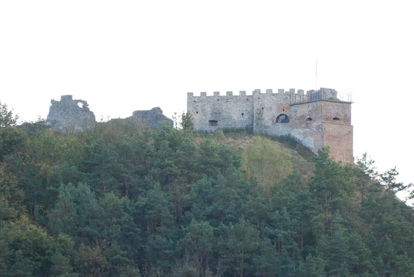 Vista Geral Colina Castelo — Fotografia de Stock