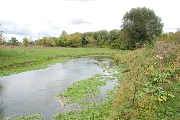 River Iqua Tributary Styr — Stock Photo, Image