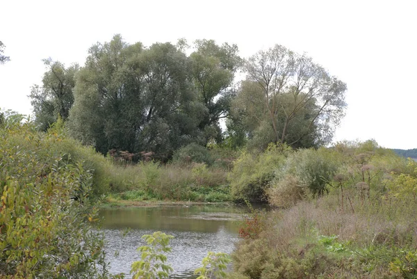 Lago Margini Del Villaggio — Foto Stock