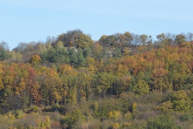 Karpat Dağlarının yumuşak yamaçları