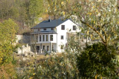 Karpat Dağlarının yumuşak yamaçları