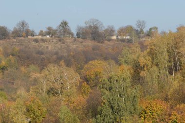 Karpat Dağlarının yumuşak yamaçları
