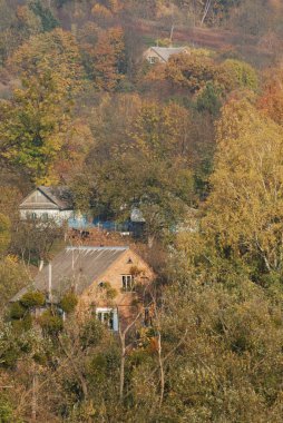 Karpat Dağlarının yumuşak yamaçları