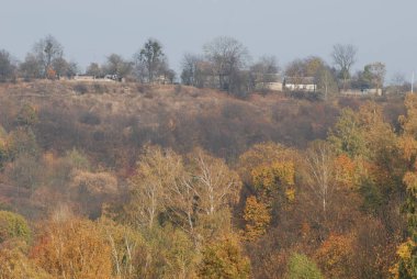 Karpat Dağlarının yumuşak yamaçları