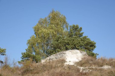 Karpat Dağlarının yumuşak yamaçları