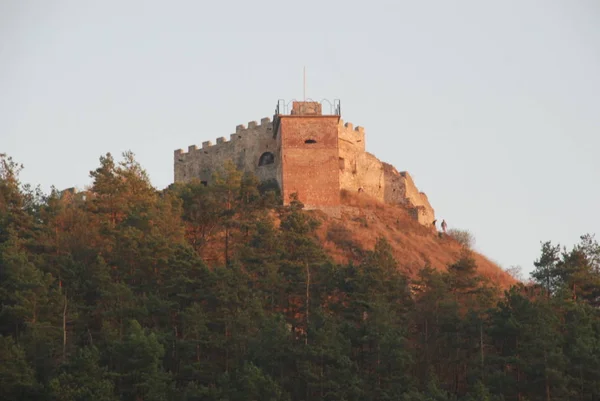 Vue Générale Colline Château — Photo