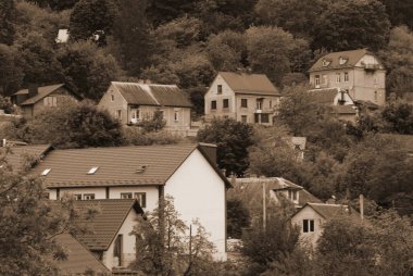 Bekarlık eski ormanda başlar.