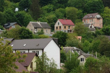 Bekarlık eski ormanda başlar.
