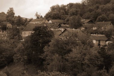 Bekarlık eski ormanda başlar.