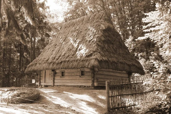 Дерев Яний Будинок Українському Селі — стокове фото