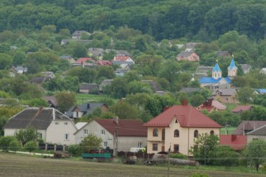  Bekarlık eski ormanda başlar.