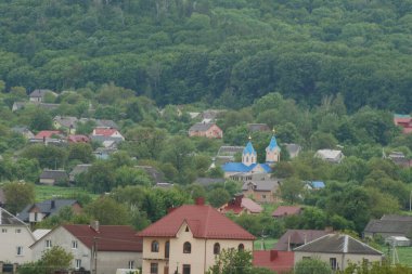  Bekarlık eski ormanda başlar.