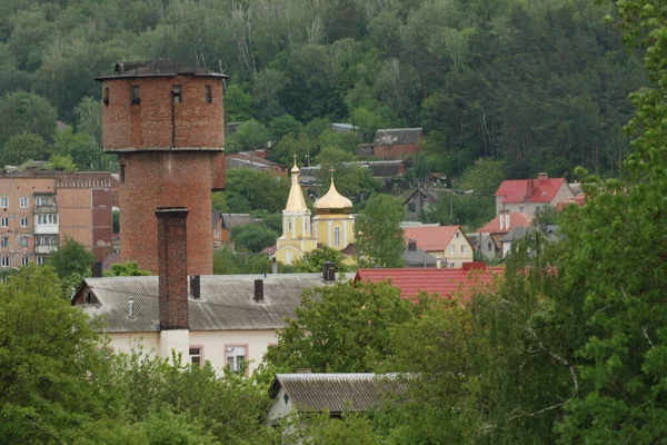 Одномісні Стартують Старому Лісі — стокове фото