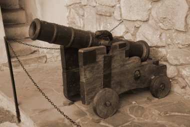 Mortina Olesky kalenin avlusunda kaledir